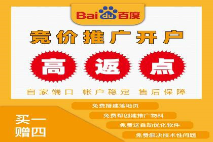 某电商平台的SEM运营实战与效果分析
